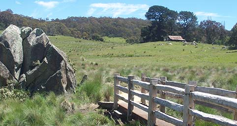 Wooden footbridge and Westerman's Homestead